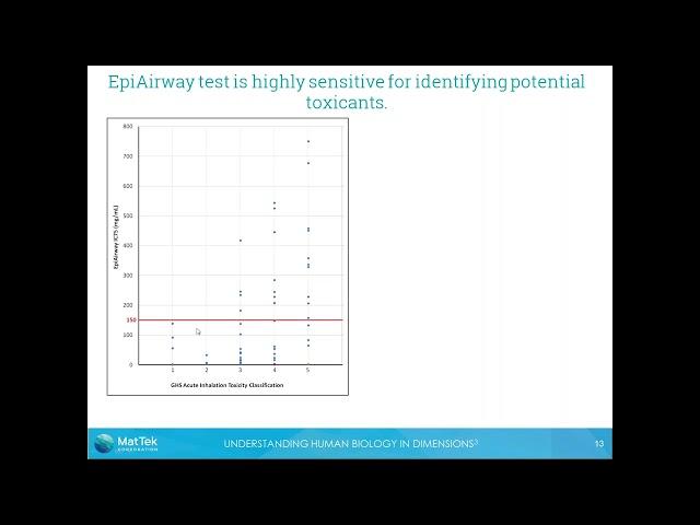 In Vitro Models for Inhalation Toxicity Testing