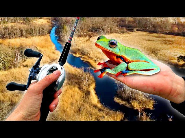 EXPERIMENT – WILL PIKE EAT FROG? (Unexpected Result!)