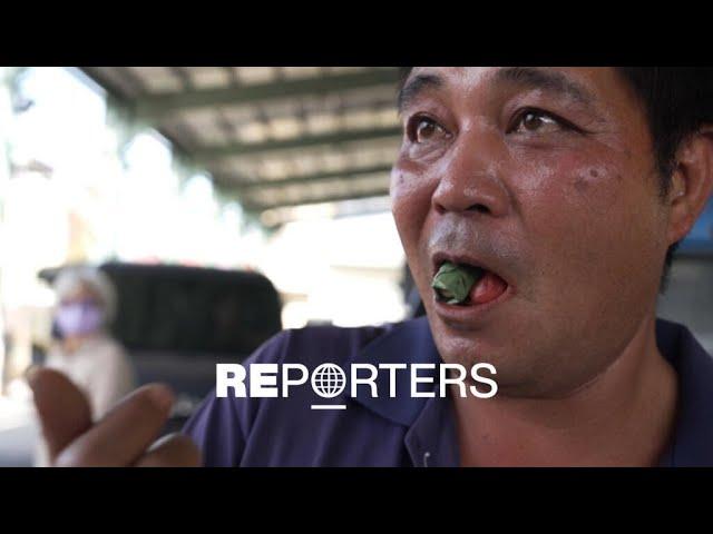 Betel nuts: Taiwan looks to kick deadly addiction to stimulant 'chewing gum' • FRANCE 24 English