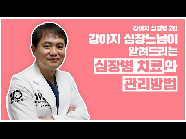 강아지 심장전문수의사선생님이 알려드리는 심장병 치료와 관리방법