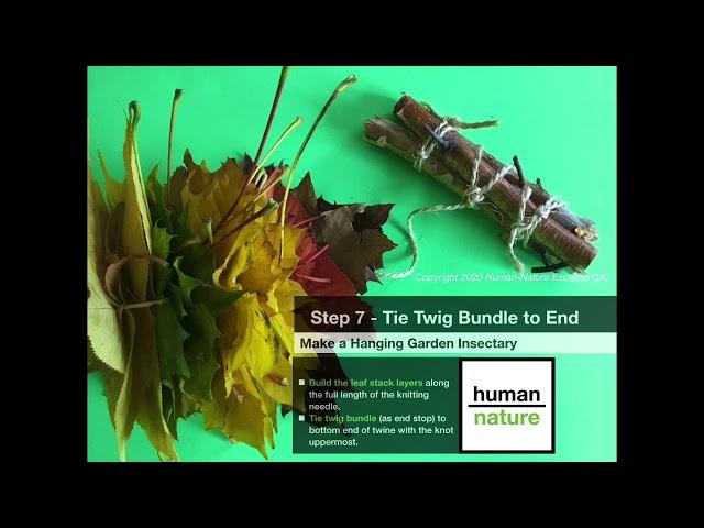 Human-Nature NatureFun (Autumn 1) - Hanging Garden Insectary