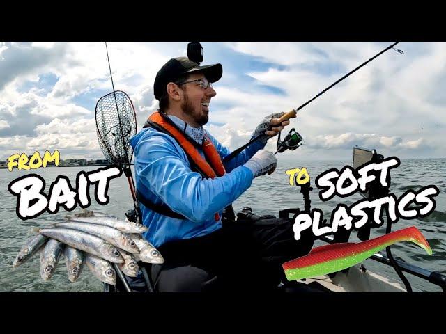 SWITCH from BAIT to SOFT PLASTICS - Getting started GUIDE on Soft Plastics Fishing