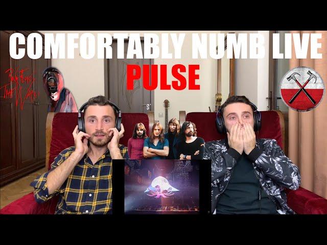 PINK FLOYD - COMFORTABLY NUMB LIVE - PULSE | UNBELIEVABLE!!!! | FIRST TIME REACTION