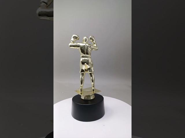 Trophykart Affordable Fiber Trophy (FTDS BOXING)