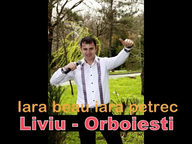 Iara beau iara petrec-Hora sarba manele la ziua lu Nea Ion-Liviu de la Orboiesti vechi 2007