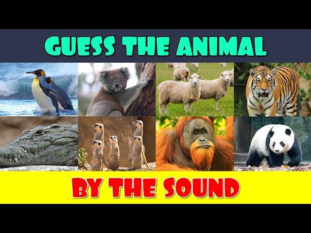 Guess the Animal by the Sound