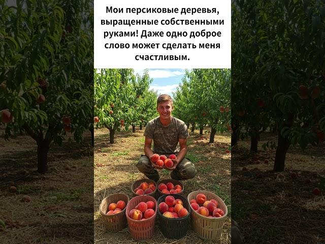 Мои персиковые деревья, выращенные собственными руками! Даже одно доброе слово может сделать меня сч