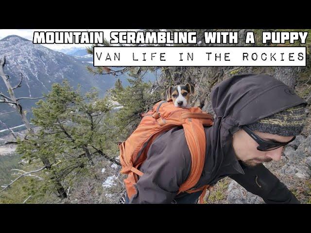 Mt. DeSmet with a Puppy - Wood Stove Cooking - BC Van Life