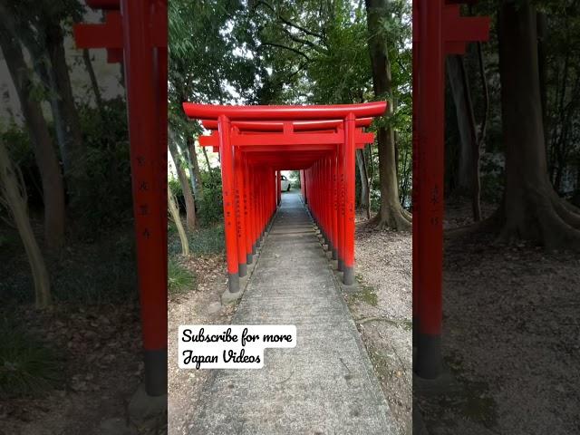 Tori Gates at Nagoya Shrine - Japan