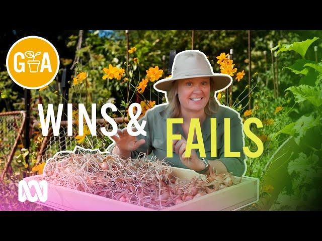 Backyard Successes and Lessons | Gardening Hacks | Gardening Australia