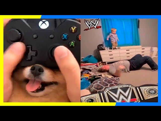 FUN CLICKS OF INTERNET 2021|FUNNY VIDEOS 2021