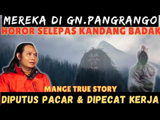 PENDAKIAN GUNUNG PANGRANGO YANG GA BISA GUE LUPA. MISTIS NYA PUNCAK MANDALAWANGI  @BESOKPAGICH