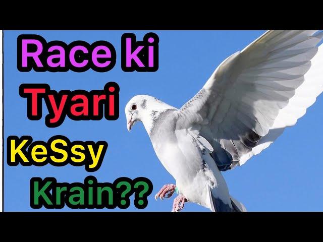 How to Train Racing Pigeons For Race 2024 | Racer Kabootar ki Race