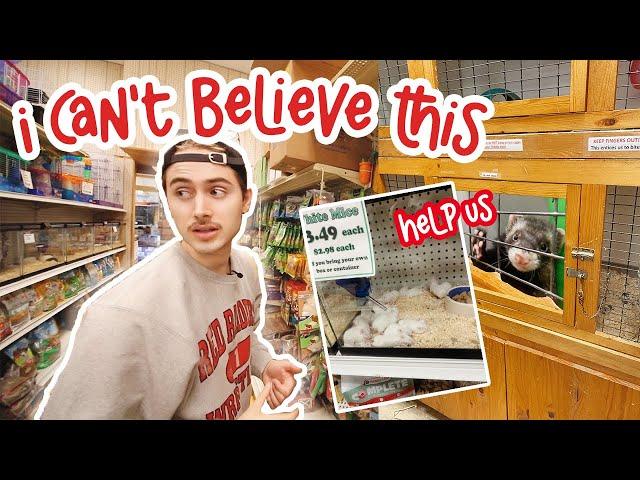 I WENT UNDERCOVER AT A PETSTORE 