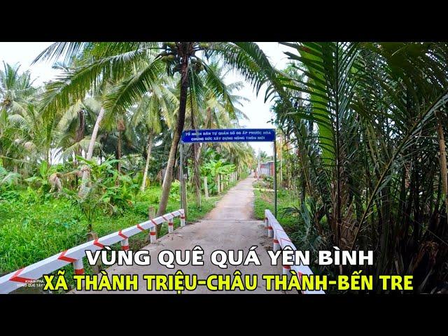 Khám Phá Ấp Phước Hoà Xã Thành Triệu, Huyện Châu Thành Tỉnh Bến Tre