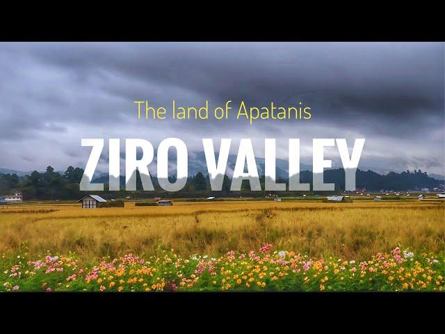 Ziro Valley: The Land of Apatanis I Best Places to Visit in Ziro Valley I Complete Tour Guide