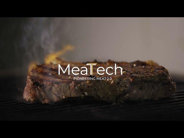 Animated proof of concept video for 3D Printed Vegan friendly meat by - Meatech Israeli startup