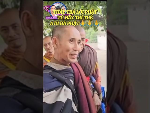 THẦY TRẢ LỜI PHẬT TỬ ĐẦY TRÍ TUỆ A DI ĐÀ PHẬT#shortvideo #thichminhtue