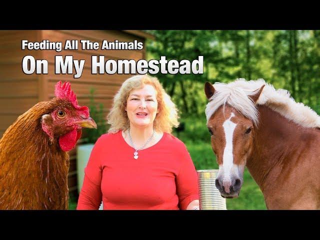 Watch me feed all the funny animals on my small homestead.