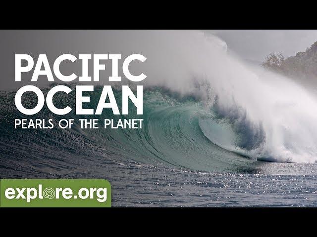 Pacific Ocean | Pearls of the Planet