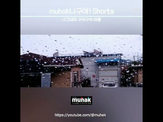 국도 5호선 경북대로서 만난 게릴라성 소나기e5-05-29-a1