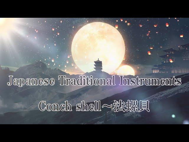 Traditional Japanese instruments Conch shell 法螺貝　music collection