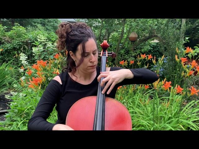 Amy Sue Barston plays Appalachia Waltz by Mark O'Connor, solo cello version