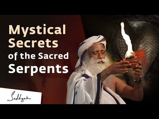 12 Mystical Serpents You Didn’t Know Existed | Sadhguru