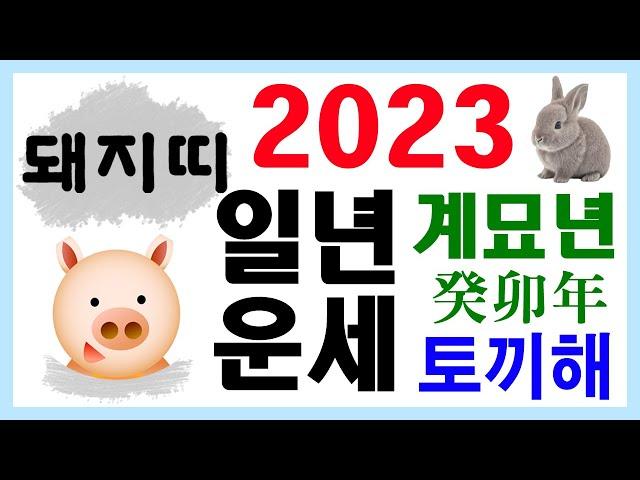 [띠별 일년 운세] 2023 계묘년 돼지띠 운세입니다~ 상담 : 010-9563-2238/사주/운세/역학/철학/주역/관상/풍수지리/주역/육효/철학원