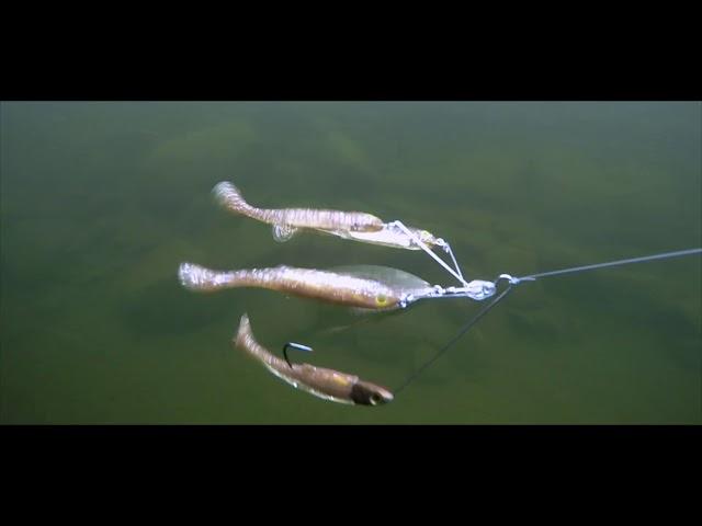 LIVETARGET SPINNER RIG