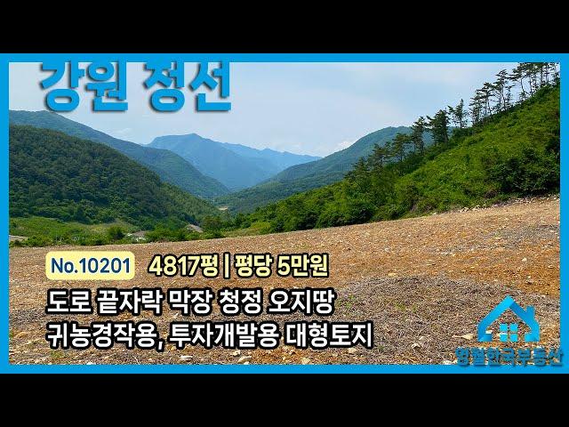 [정선토지] 도로 끝 막장 대형 토지, 독립적인 공간 평당 5만원 미만 활용도 높은 투자용 정선땅매매, 농사용 경작지, 기도원 절터, 태양광발전 개발용 강력 추천 #한국부동산
