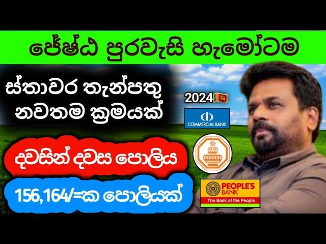 ස්තාවර තැන්පතු දාන්න එපා | Fixed deposit interest rates sri lanka 2024 | bank money market account