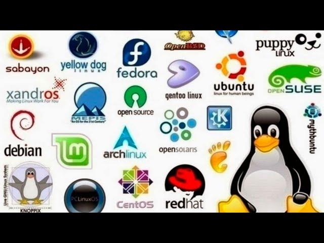 Top 10 Best Linux Distributions in 2022 @techackode