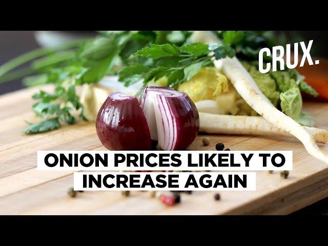 Onion Prices Likely To Increase Again Due to Reduced Kharif Sowing | CRUX