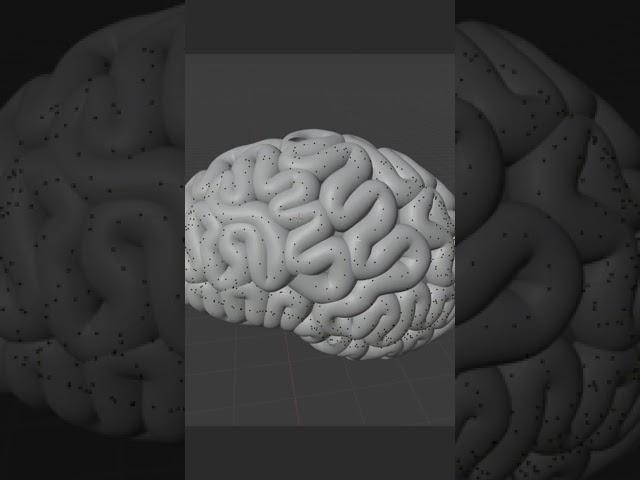 Brain in #blender3d.. #3dmodeling #3dinspiration