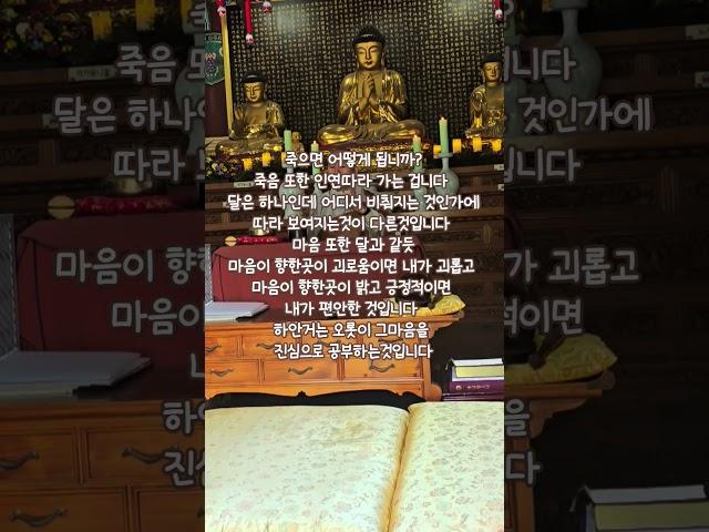 #하안거#일락사#법회#법문#지혜#마음공부