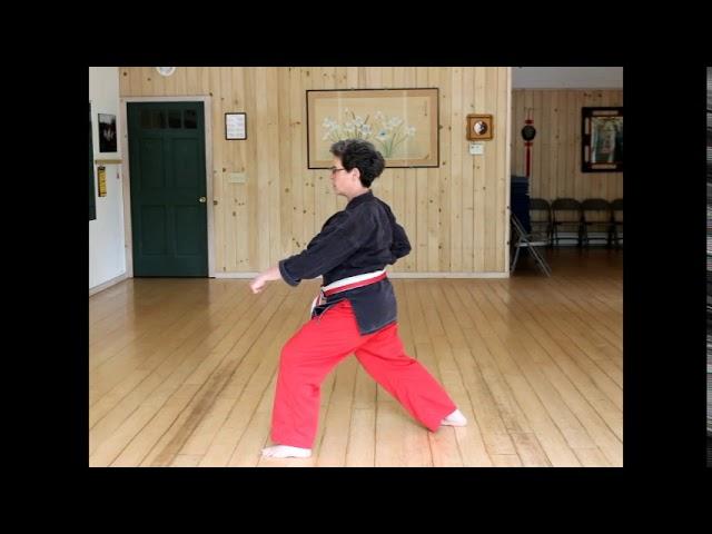 Pinan Shodan Kata - Bushido Karate Dojo