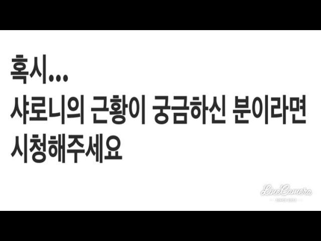 갑자기 업로드가 멈춰 죄송합니다. 샤로니의 근황이 궁금하신분이 계시다면 확인해주세요. 감사합니다.