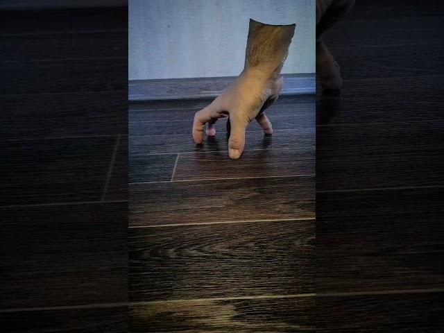 WIDNESDAY hand thing