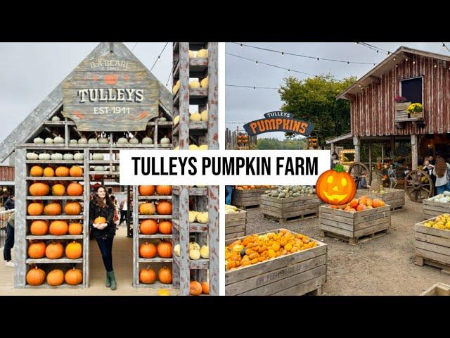 Tulleys PUMPKIN FESTIVAL  | Day trip idea from London