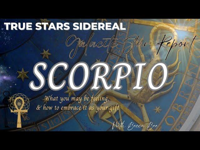 True Stars SCORPIO Galactic Report for Nov 23 to Dec. 7th