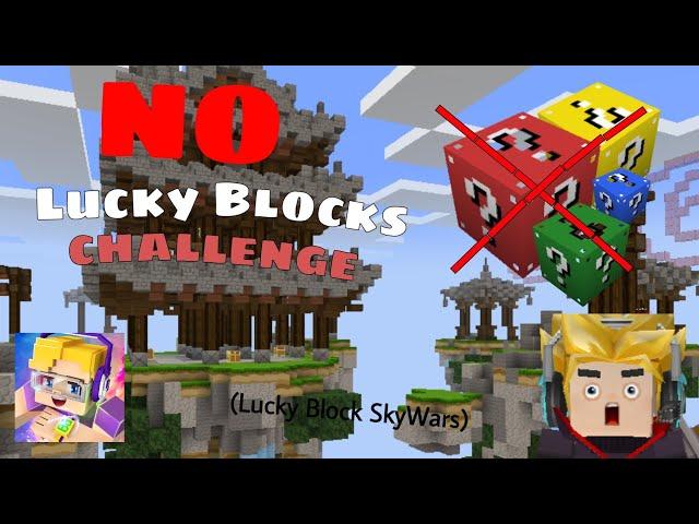 NO Lucky Blocks Challenge in Lucky Block Sky War! | BlockmanGo - Maxy BG