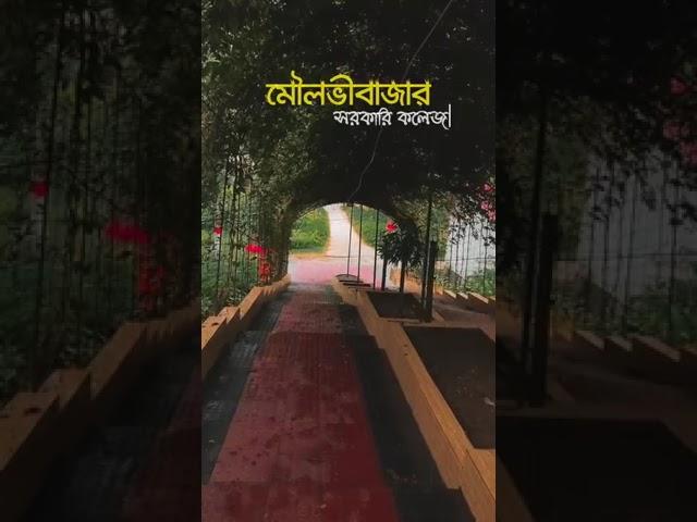 The beauty of Moulvibazar Govt. College | মৌলভীবাজার সরকারি কলেজ |Tomafruz #shorts #nature