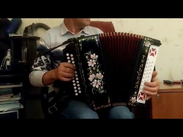 Одной тобою я живу .Гармонь#гармонь #игры#играйгармонь #Владимир