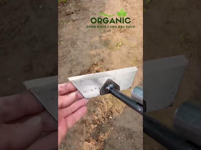 Bí Quyết Làm Sạch Vườn Trong Vài Phút Của Nhà Nông Hiện Đại! #organic