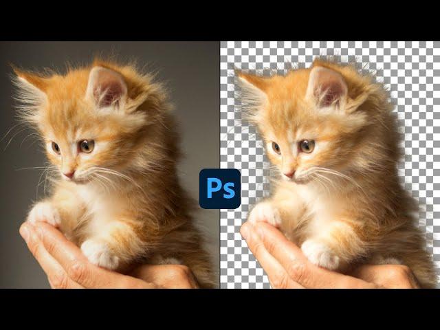 Photoshop Tutorial - EASIEST Trick for Perfect Selections