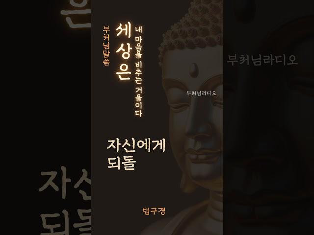 세상은 내 마음을 비추는 거울이다 | 부처님말씀 | 석가모니명언 | 인생지혜 | 명상의말씀