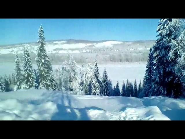 Аллея п. Зеленогорский