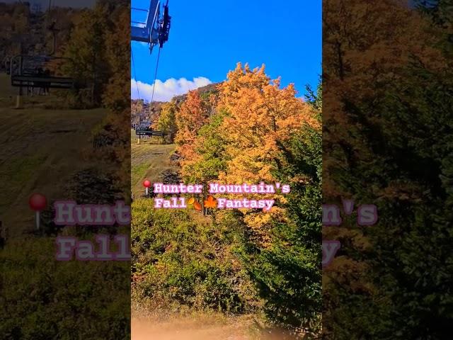 Fall Foliage Magic||Autumn at Hunter Mountain Catskill NY|| #love #travel #bollywood #nature #fall