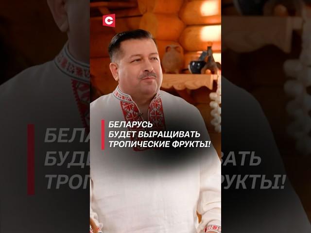 Беларусь будет выращивать тропические фрукты! #беларусь #сельскоехозяйство #агрономия #новости